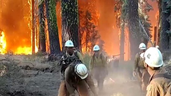 A look at how smokejumpers parachute in to fight fires – MASHAHER