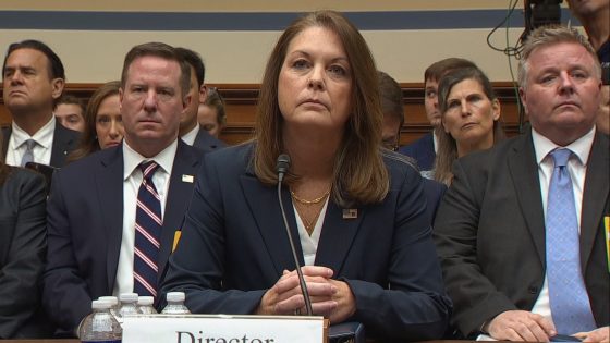 Secret Service director tells Congress ‘we failed’ in hearing on Trump assassination attempt – MASHAHER