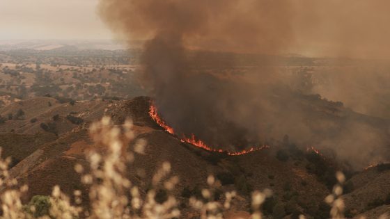 California wildfires latest: Santa Barbara County fire grows to over 38,000 acres – MASHAHER