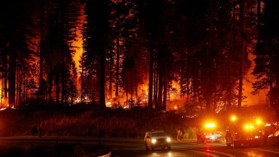 Park Fire suspect charged with felony arson for allegedly igniting largest wildfire burning in US – MASHAHER