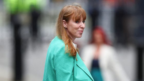 Angela Rayner plays down prospect of Labour MP backlash against housing push – as new towns task force launched | Politics News – MASHAHER