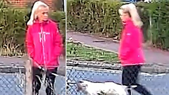 Man arrested on suspicion of murder after woman attacked while walking dog in Suffolk | UK News – MASHAHER