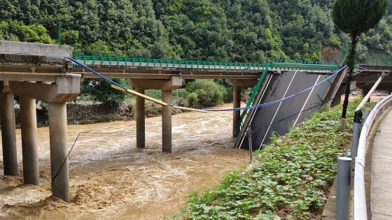 Bridge collapses in China – at least 11 people dead and dozens missing | World News – MASHAHER