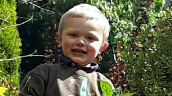 Daniel Twigg: Two people charged over three-year-old’s death after dog attack | UK News – MASHAHER