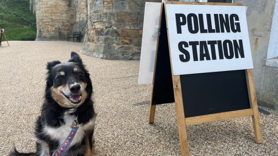 Dogs at polling stations: Your best pictures as general election takes place | UK News – MASHAHER