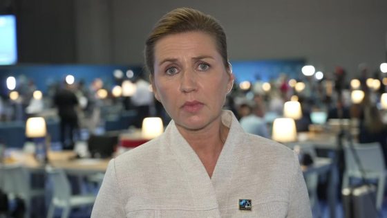 Europe hasn’t prioritised security enough and should take more responsibility, Danish PM warns | World News – MASHAHER