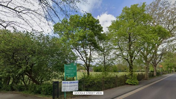 ‘Human or animal organs’ found in container in south London park | UK News – MASHAHER