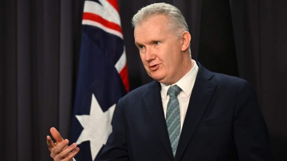 CFMEU could be deregistered after allegations of criminal links, Tony Burke says – MASHAHER