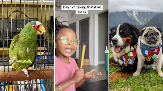 Viral headlines: Trending family stories, pet tales, food finds and more you can’t miss – MASHAHER