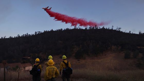 Wildfires plague the West amid a scorching heat wave – MASHAHER