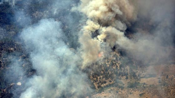 Human remains found in house destroyed by Colorado wildfire – MASHAHER