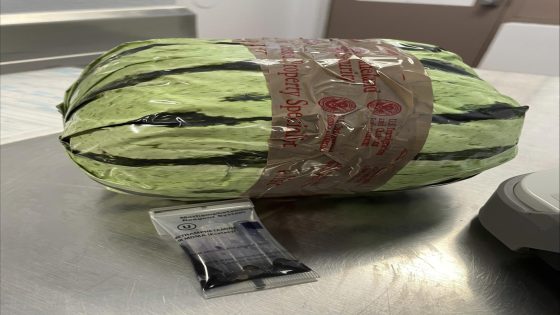 Methamphetamine disguised as shipment of watermelons seized at US-Mexico border in San Diego – MASHAHER