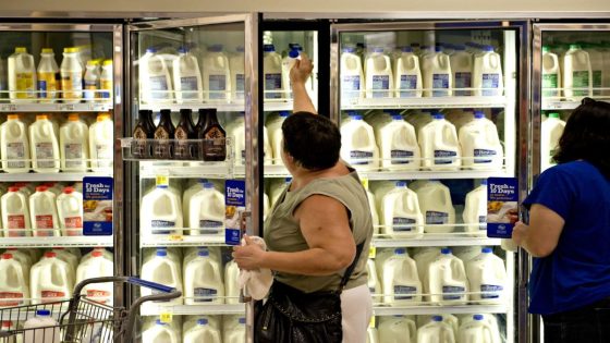 Kroger Hiked Milk, Egg Prices Above Inflation, Merger Judge Told – MASHAHER