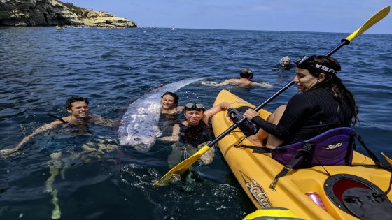 A rarely seen deep sea fish is found in California, and scientists want to know why – MASHAHER