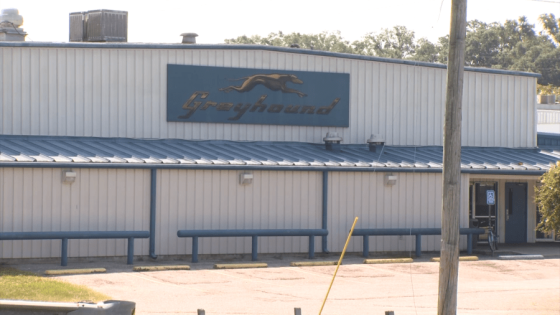 72-year-old Texas woman left in Mobile after Greyhound bus took off without her to Pensacola – MASHAHER