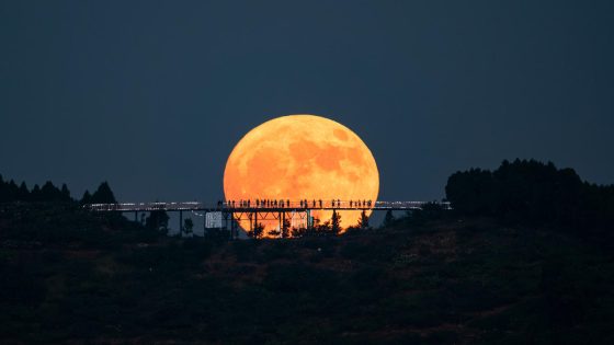 See the Rare Super Blue Moon in Photos – MASHAHER