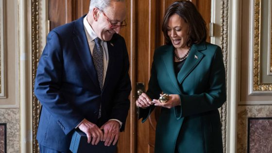 Schumer says a crypto bill can pass Senate this year; Dems join ‘Crypto4Harris’ call – MASHAHER