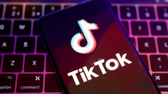 TikTok ‘finfluencers’ predicted the AI rally, can you trust them? – MASHAHER