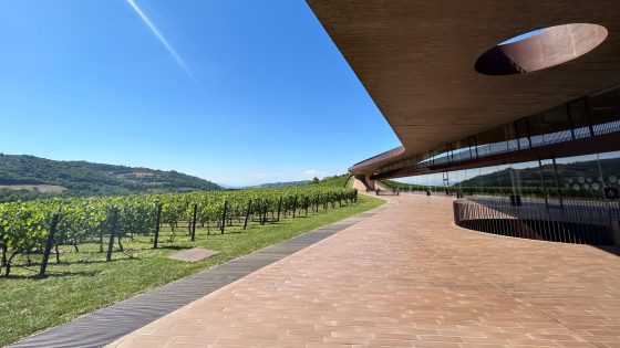 Wineries in Italy, Greece, Spain battle extreme heat, lower production – MASHAHER