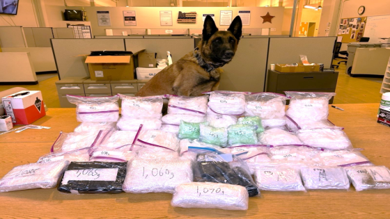 Portland police announce ‘one of the largest single-day’ drug busts in its history – MASHAHER