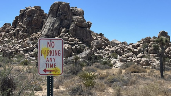 German tourists accused of defacing US national park with paintballs – MASHAHER