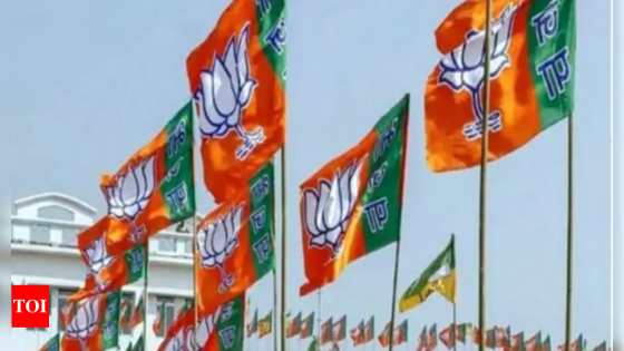 BJP names 29 more, drops former deputy CM Nirmal Singh | India News – MASHAHER