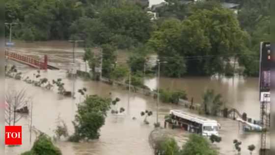 Gujarat rains: Death toll rises to 26, thousands evacuated amid flood chaos | India News – MASHAHER