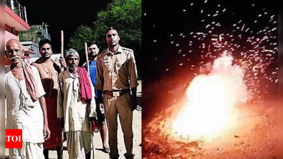 Every night a Diwali as villagers burst crackers to ward off wolves | India News – MASHAHER