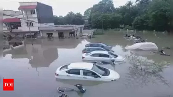 Gujarat floods: IMD predicts ‘heavy to very heavy rain’ in state, issues orange alert | Ahmedabad News – MASHAHER