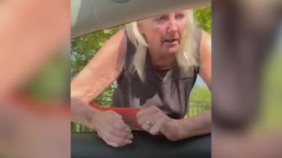 Video of road rage slap prompts assault charge against unapologetic driver – MASHAHER