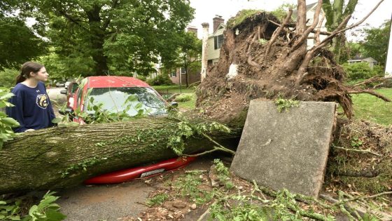 Severe thunderstorm fells trees, more than 20,000 still without power in Baltimore – MASHAHER