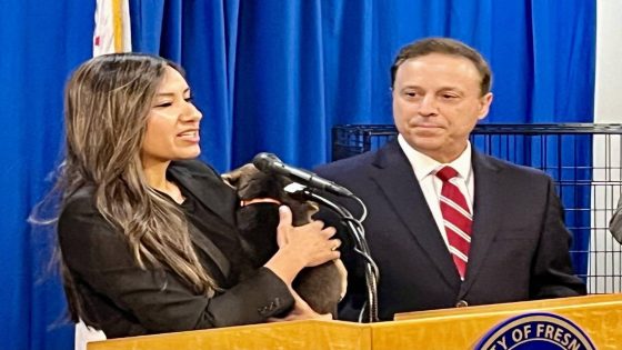 New permit for dog breeders, sellers to be required in Fresno. What are the penalties? – MASHAHER