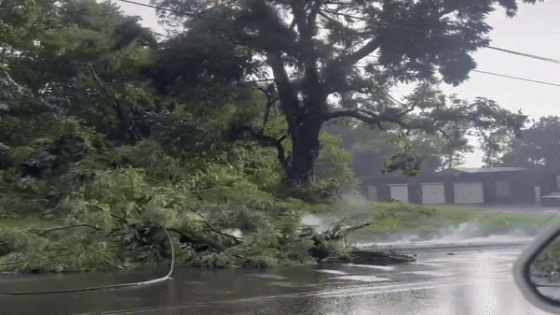 Severe Storms Leave Thousands Without Power in Northern Ohio – MASHAHER