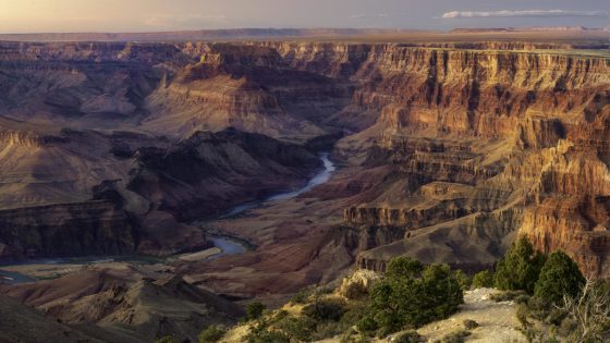 Man’s death in Grand Canyon is the 5th in less than a month – MASHAHER