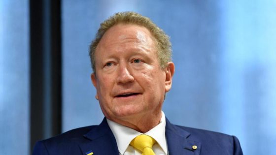 Fortescue steadies iron ore, ‘realistic’ on hydrogen – MASHAHER