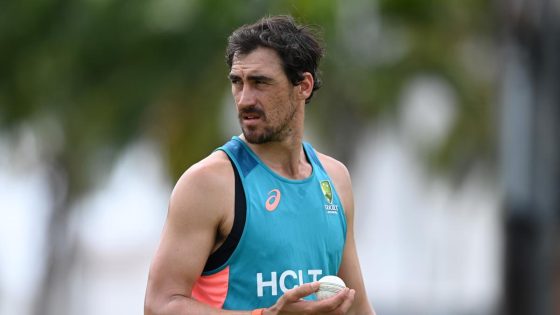 Mitchell Starc: Border-Gavaskar Trophy on par with Ashes for Australia – MASHAHER