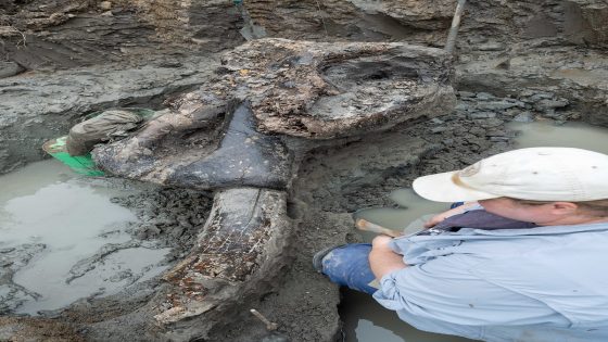 Archaeologists find mastodon skull in Iowa, search for evidence it interacted with humans – MASHAHER