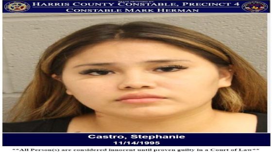 Houston woman arrested after attempting to sell stolen car online – MASHAHER