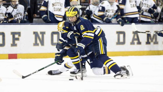 Penguins’ McGroarty’s Best Statistical Performances at the University of Michigan – MASHAHER