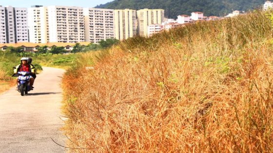 Increased fire risk in Penang due to dry conditions, warns state Environment Department – MASHAHER