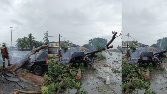 Tree falls on car in Klang after downpour – MASHAHER