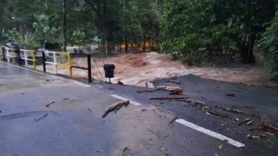 Slim Village bridge collapses due to flood – MASHAHER