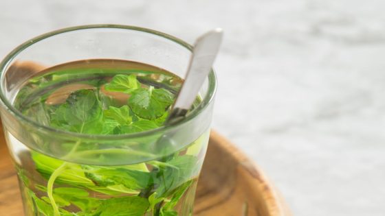 QuickCheck: Is it true that consuming too much mint can affect male fertility? – MASHAHER