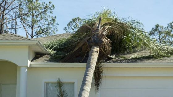 If a neighbor’s tree falls on your property, who has to pay for the damage? – MASHAHER