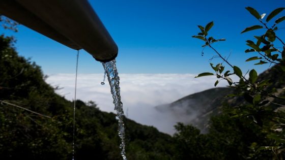 Arrowhead water bottler ordered to stop operations in San Bernardino Mountains – MASHAHER