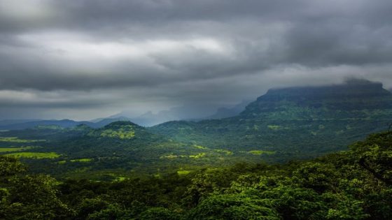 Indian police launch murder investigation after a US woman was found screaming and chained to a tree in the middle of a forest – MASHAHER