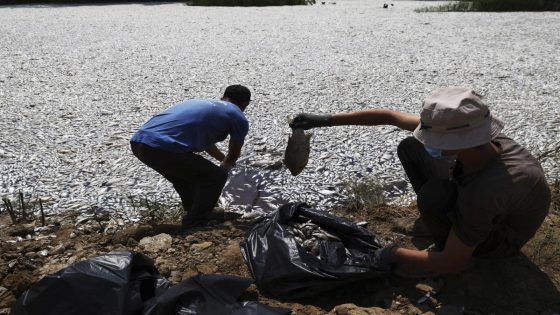 Over 100 tons of dead fish collect at Greek port after climate-related mass die-off – MASHAHER