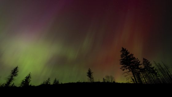 You might be able to see the northern lights this weekend. Here’s what the solar forecast says. – MASHAHER