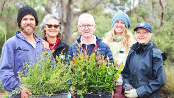 Margaret River nursery needs keen gardeners to help project sprout – MASHAHER