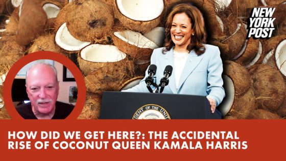 Accidental rise of Kamala Harris is a symptom of an unserious age – MASHAHER